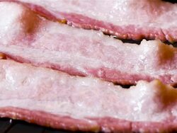 Bacon Stock Footage