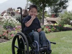 Little Latino boy sitting in a wheelchair in front of a rock and flower garden Stock Footage
