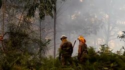 VOICED : Portugal y Francia refuerzan tareas para controlar incendios News Clip