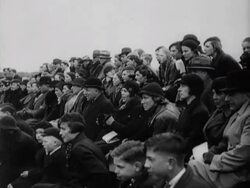 A hockey match for women Stock Footage