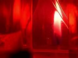 HD: Graveyard candles Stock Footage