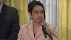 Brothers sue Smollett's lawyers for defamation Instructional Video