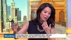 Exelon CEO: Utility Takeover Premiums Are 'Pretty Rich' News Clip