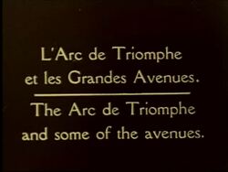 Grande Palais, Petit Palais, Arc de Triomphe Stock Footage