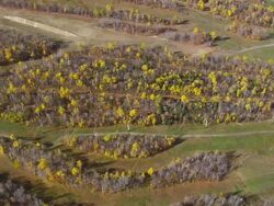 WS ARIEAL DS View of wooded area with car cable pole /Maine, United States Stock Footage