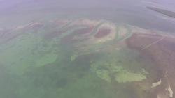 Florida Everglades Aerials, South Florida Swampland, Key Largo Stock Footage