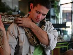 MS TU TD Pet shop owner working on his tablet and holding his reptiles / Santa Fe, New Mexico, United States Stock Footage