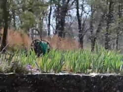 Summer Water Spring Stock Footage