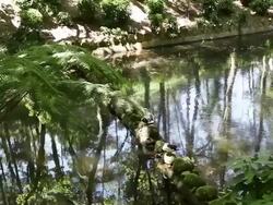 Sintra, Pena park and National Palace, nature trail, view of a lake Stock Footage