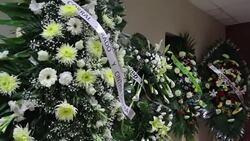 CLEAN : Mexican journalist shot dead News Clip