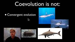 Coevolution Instructional Video