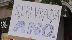 CLEAN : Thousands rally in Prague against President finance minister News Clip