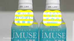 Japan's 2nd Largest Beermaker by Market Value Seeks Growth Beyond Beer Market News Clip