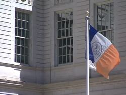 A Woman Enters City Hall Doors Stock Footage