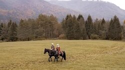 AERIAL Couple horseback riding across countryside Stock Footage