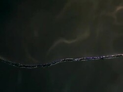 Cable Overload (3in1) Stock Footage