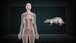 Scientists unlock the secret to scratching: What makes you itch? Instructional Video