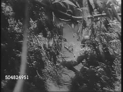 Damien Parer Tells Of Danger In Battle For Guam News Clip