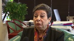 Lawmaker: move to put Israel before ICC encouraging News Clip