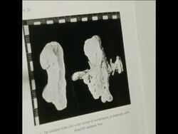 SYND 6 1 71 EXPERTS FIND BONES ON A MAN CRUCIFIED 2000 YEARS AGO AT A TOMB IN JERUSALEM News Clip