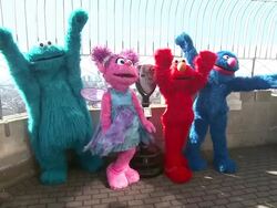 Cookie Monster, Abby Cadabby, Elmo and Grover at Elmo, Cookie Monster, Grover And Abby Cadabby Visit The Empire State Building To Promote '1-2-3 Imagine! With Elmo & Friends' on 02/21/2012 in New York City, NY.   Stock Footage