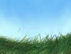 Affectionate Wind NTSC Stock Footage