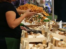 MS Sell of mushrooms on open market Stock Footage