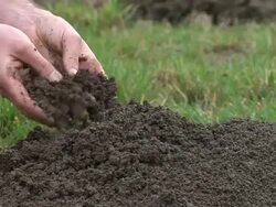 HD: Checking The Soil Stock Footage