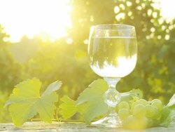 HD DOLLY: Backlit Glass Of Wine In Vineyard Stock Footage