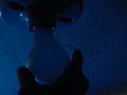 Light Bulb Stock Footage