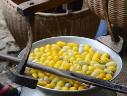 boiling silkworm cocoon Stock Footage