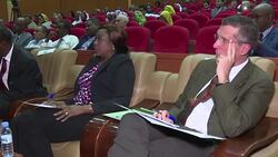 CLEAN : African economy to rebound in 2017: development bank News Clip