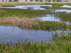 Clean Air and Water Stock Footage