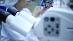 Researchers working in laboratory Stock Footage