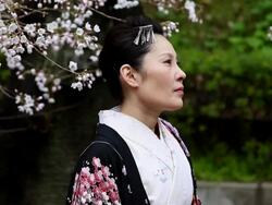 Japanese Kimono Woman and Cherry Blossoms Stock Footage