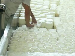 Cheesemaker Turning the Ricotta Moulds Stock Footage