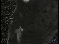 USA: DEEP SPACE PROBE: ASTEROID News Clip