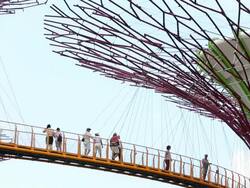 A Walk Through Singapore's Gardens By The Bay Stock Footage