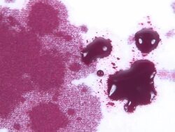 Blood drops on the white cloth Stock Footage