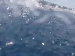 SLO MO Man Jumping Into The Sea Stock Footage