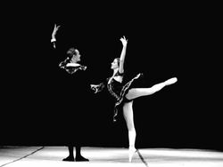 Art of Ballet Stock Footage