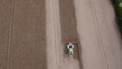Combine Harvesting Rapeseed, Aerial View Stock Footage