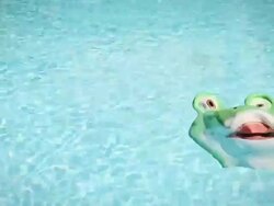 Frog Mask Swim Across the Screen Stock Footage