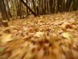 Running Stock Footage