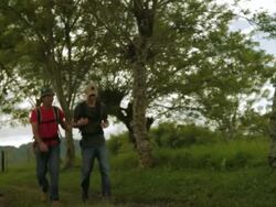 MS TS Travelers walking on rural path / Quimbaya, Quindio, Colombia  Stock Footage