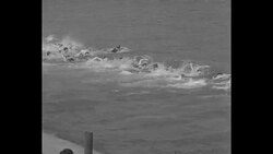Swimmers compete in 2-mile marathon in Chicago News Clip