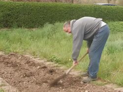Farmer Stock Footage