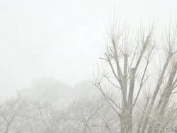 Snow falling during winter Stock Footage