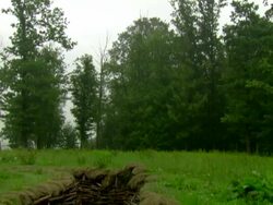  World War One trench / Bayernwald Trenches, Belgium Stock Footage