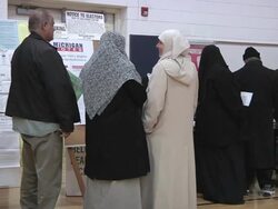 November 2, 2010 PAN Voters from the Arab community  in Dearborn, Michigan stand in line to sign in and receive their ballots for the midterm election / United States Stock Footage
